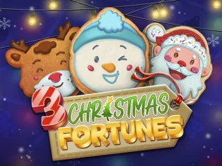 3 Christmas Fortunes game icon
